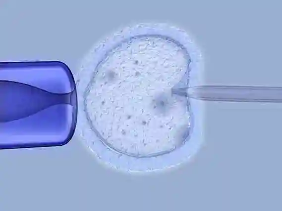 重庆当多元家庭拥抱新生命：解锁 “彩虹生子” 的温暖密码