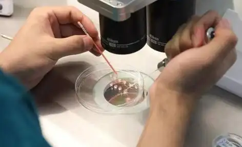 重庆打破偏见的生命礼赞：同性生子背后的爱与坚守